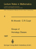 Groups of Homotopy Classes: Rank Formulas and Homotopy-Commutativity