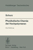 Physikalische Chemie Der Hochpolymeren: Eine EinfÃ¼hrung