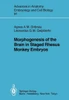 Morphogenesis of the Brain in Staged Rhesus Monkey Embryos