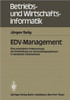 Edv-Management: Eine Empirische Untersuchung Der Entwicklung Von Anwendungssystemen in Deutschen Unternehmen