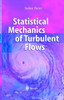 Statistical Mechanics of Turbulent Flows