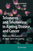 Telomeres and Telomerase in Ageing, Disease, and Cancer: Molecular Mechanisms of Adult Stem Cell Ageing