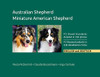 Australian Shepherd, Miniature American Shepherd: FCI Breed Standards detailed in 238 photos, English and Deutsch