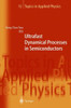 Ultrafast Dynamical Processes in Semiconductors