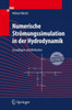 Numerische Strömungssimulation in Der Hydrodynamik: Grundlagen Und Methoden