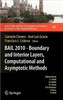 Bail 2010 - Boundary and Interior Layers, Computational and Asymptotic Methods