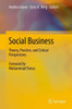 Social Business: Theory, Practice, and Critical Perspectives
