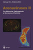 Arenaviruses II: The Molecular Pathogenesis of Arenavirus Infections
