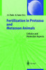 Fertilization in Protozoa and Metazoan Animals: Cellular and Molecular Aspects