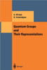 Quantum Groups and Their Representations