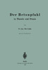 Der Betonpfahl in Theorie Und PRAXIS