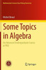 Some Topics in Algebra: An Advanced Undergraduate Course at PKU
