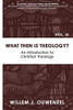 What then Is Theology?: An Introduction to Christian Theology (Academic Introductions for Beginners)