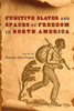 Fugitive Slaves and Spaces of Freedom in North America (Southern Dissent)