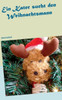 Ein Kater sucht den Weihnachtsmann