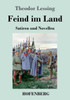 Feind im Land: Satiren und Novellen
