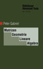 Matrizen, Geometrie, Lineare Algebra