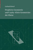 Projektive Geometrie Und Cayley-Klein Geometrien Der Ebene