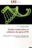 Etudes moléculaire et cellulaire du gène cftr
