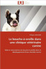 Le bouche-Ã -oreille dans une clinique vÃ©tÃ©rinaire canine