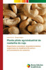 Planta piloto agroindustrial de castanha de caju