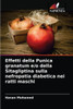 Effetti della Punica granatum e/o della Sitagliptina sulla nefropatia diabetica nei ratti maschi