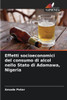 Effetti socioeconomici del consumo di alcol nello Stato di Adamawa, Nigeria