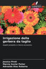 Irrigazione della gerbera da taglio