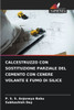 Calcestruzzo Con Sostituzione Parziale del Cemento Con Cenere Volante E Fumo Di Silice