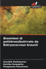 Biosintesi di poliidrossibutirrato da Botryococcous braunii