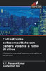 Calcestruzzo autocompattato con cenere volante e fumo di silice