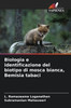 Biologia e identificazione del biotipo di mosca bianca, Bemisia tabaci