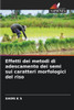 Effetti dei metodi di adescamento dei semi sui caratteri morfologici del riso