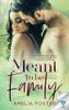 Meant To Be Family (Meant To Be Series)