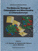 The Molecular Biology of Chloroplasts and Mitochondria in Chlamydomonas