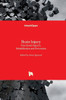 Brain Injury: Functional Aspects, Rehabilitation and Prevention