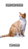 Good Life Habits