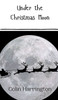 Under the Christmas Moon
