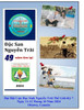 Đặc San Nguyễn TrÃ£i (softcover - duplex - color)