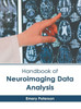 Handbook of Neuroimaging Data Analysis