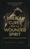 Biblical Cures for the Wounded Spirit: Answers for PTSD and Healing the Invisible Wound
