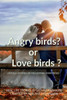 'Love' birds ? or 'Angry' birds ?