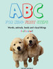 ABC For Kids (Words, animals, foods and visual things).: First Steps (Large Print Edition)