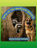 Bella vs The Backyard Bandits Large Print