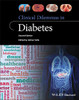 Clinical Dilemmas in Diabetes (Clinical Dilemmas (UK))