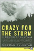 Crazy for the Storm LP Large Print