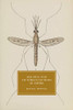 Malaria and Victorian Fictions of Empire (Cambridge Studies in Nineteenth-Century Literature and Culture, Series Number 114)