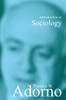 Introduction to Sociology