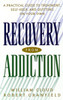 Recovery from Addiction: A Practical Guide to Treatment, Self-Help, and Quitting on Your Own
