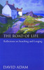 The Road of Life: Reflections on Searching and Longing